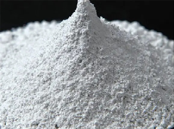 （圖：石膏展示圖）